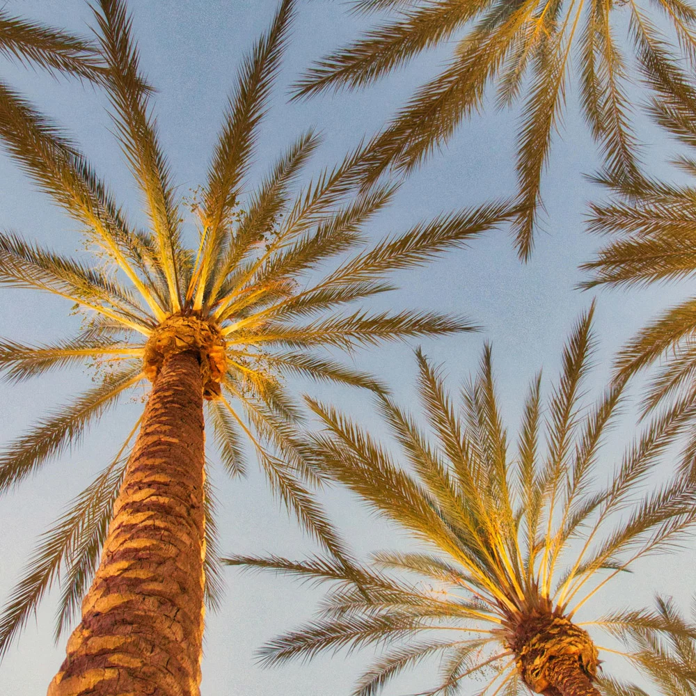 CALIFORNIA